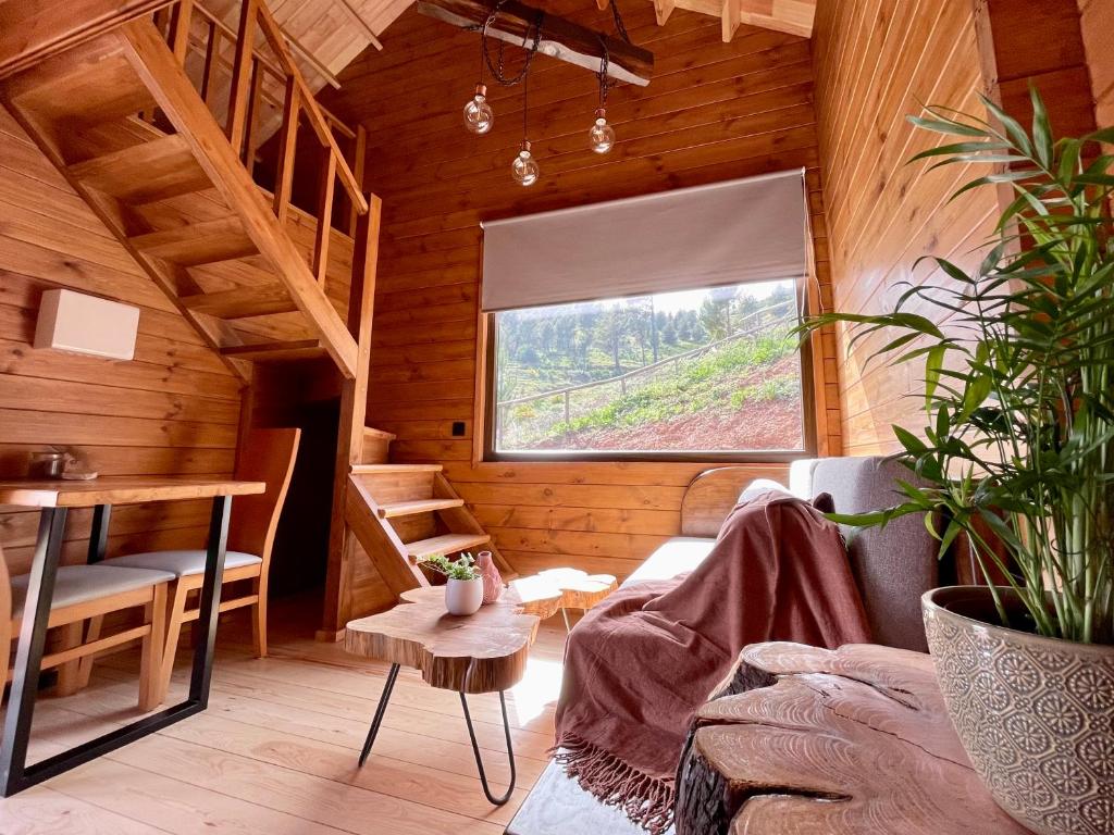 ein Zimmer mit einem Sofa und einem Tisch in einer Hütte in der Unterkunft Mountain Eco Shelter 5 in Funchal