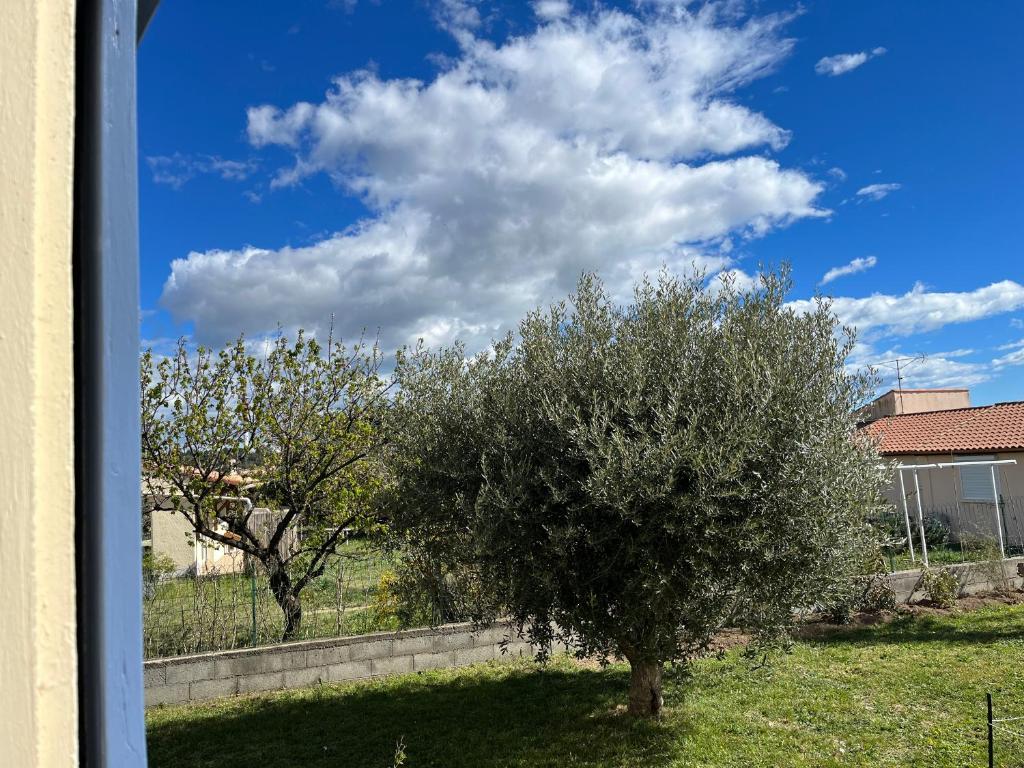 a tree in a yard with a blue sky and clouds at Les oliviers in Juvignac