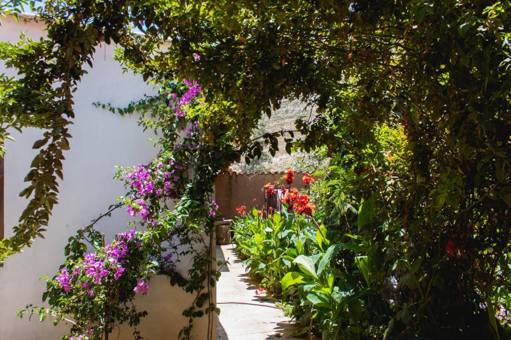 een tuin met paarse en roze bloemen aan de muur bij Hostal Wilma in Torotoro