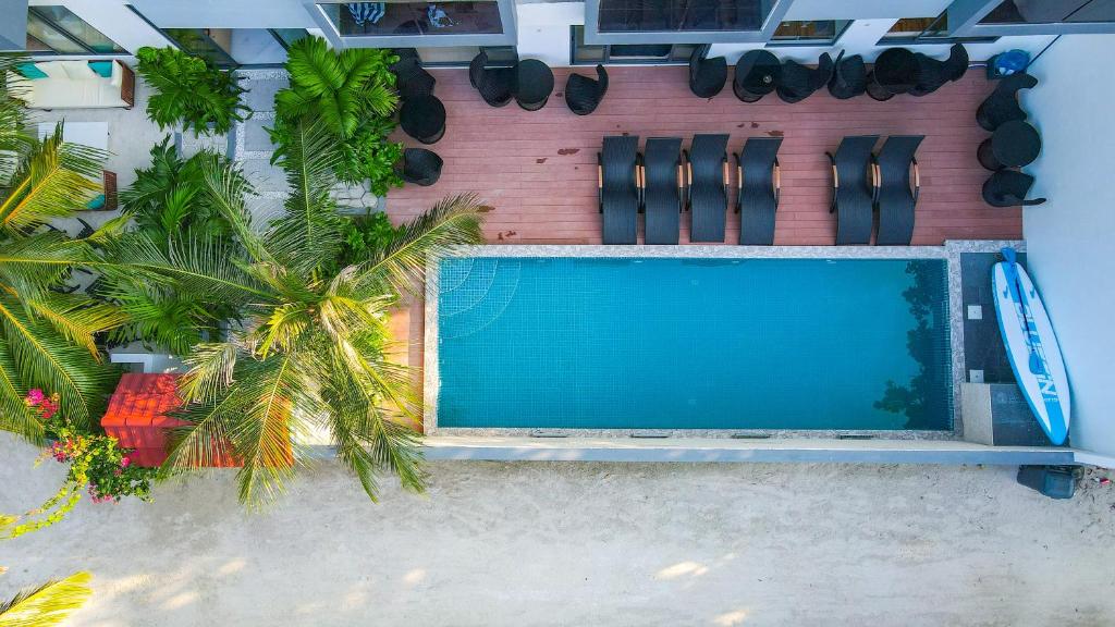 an overhead view of a swimming pool and a palm tree at Ari Grand Hotel & Spa in Dhangethi