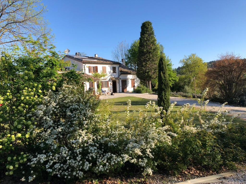 ein weißes Haus mit Bäumen und Blumen im Hof in der Unterkunft Casa Sant Angelo in Pesaro