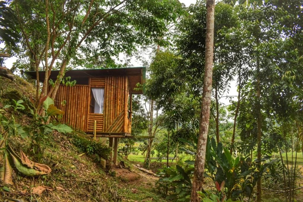 ein Baumhaus mitten im Wald in der Unterkunft Donde se Oculta el Sol in Villagarzón