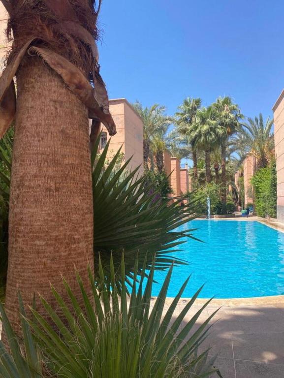 a swimming pool with a palm tree next to a building at Riad jmiaa in Marrakesh