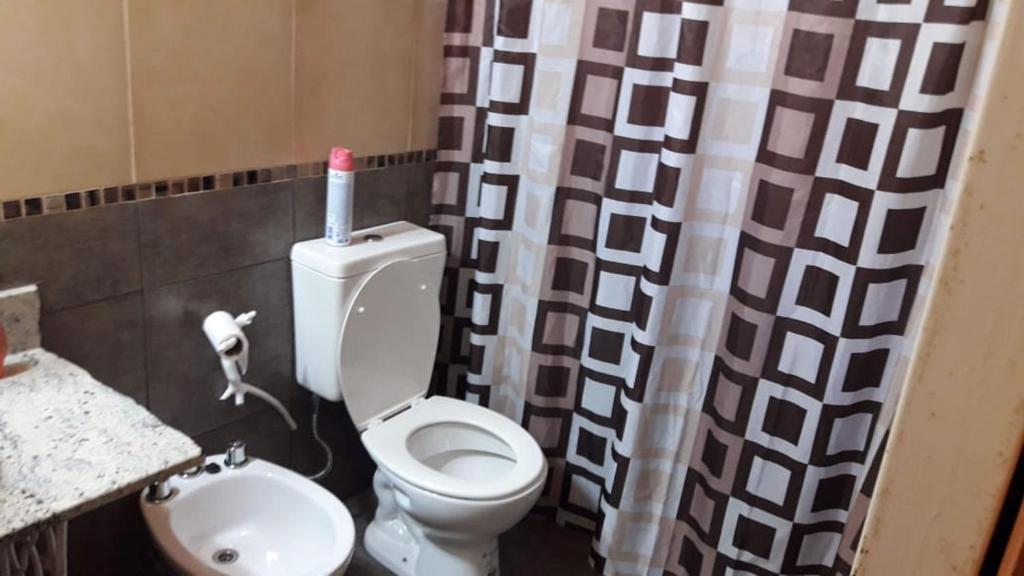 ein Bad mit einem WC und einem Duschvorhang in der Unterkunft Depto Vivi in Embalse
