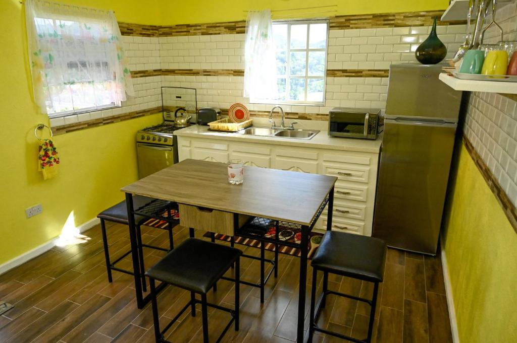 A cozinha ou kitchenette de La Vue