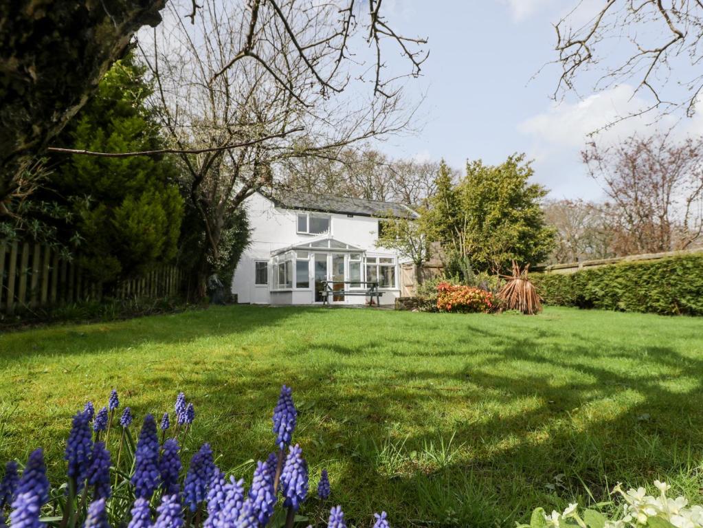 a white house with a yard with purple flowers at Pippins in Bream