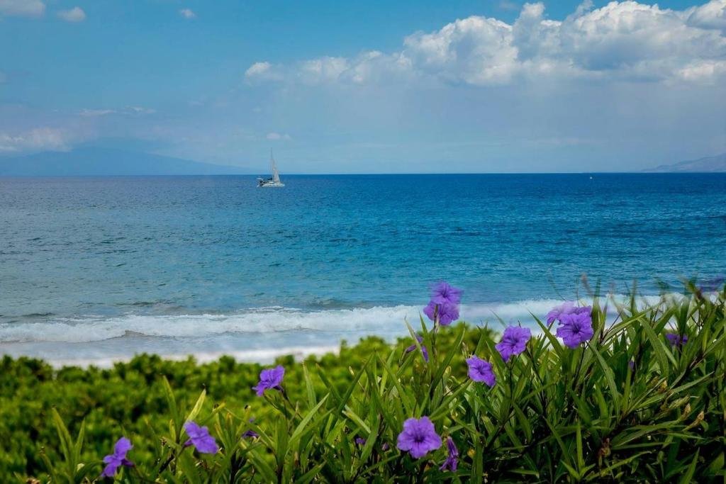 a sail boat in the ocean with purple flowers at Polo Beach Club Two Bedrooms - Sleeps 6 by Coldwell Banker Island Vacations in Wailea