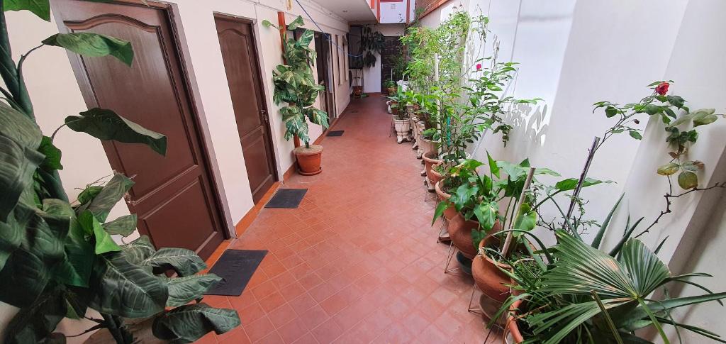 un pasillo lleno de macetas y una puerta en Casa Familiar Munaypatita, en Sucre