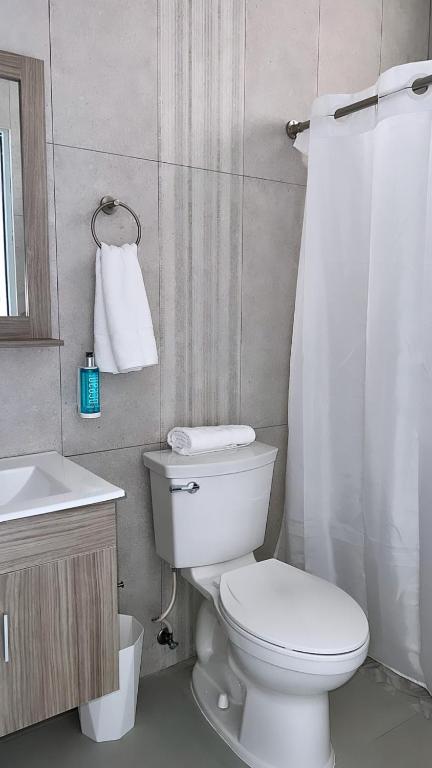 リンコンにあるRed Flamboyan Guesthouse and Restaurantの白いトイレと洗面台のあるバスルーム