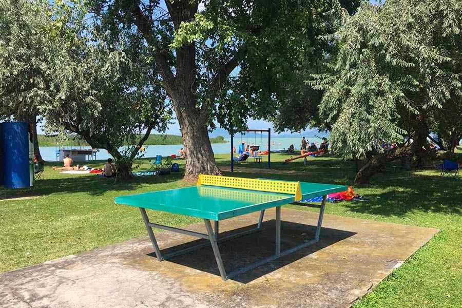 a ping pong table in a park with a tree at House and Apt in Balatonboglar 42692 in Balatonboglár