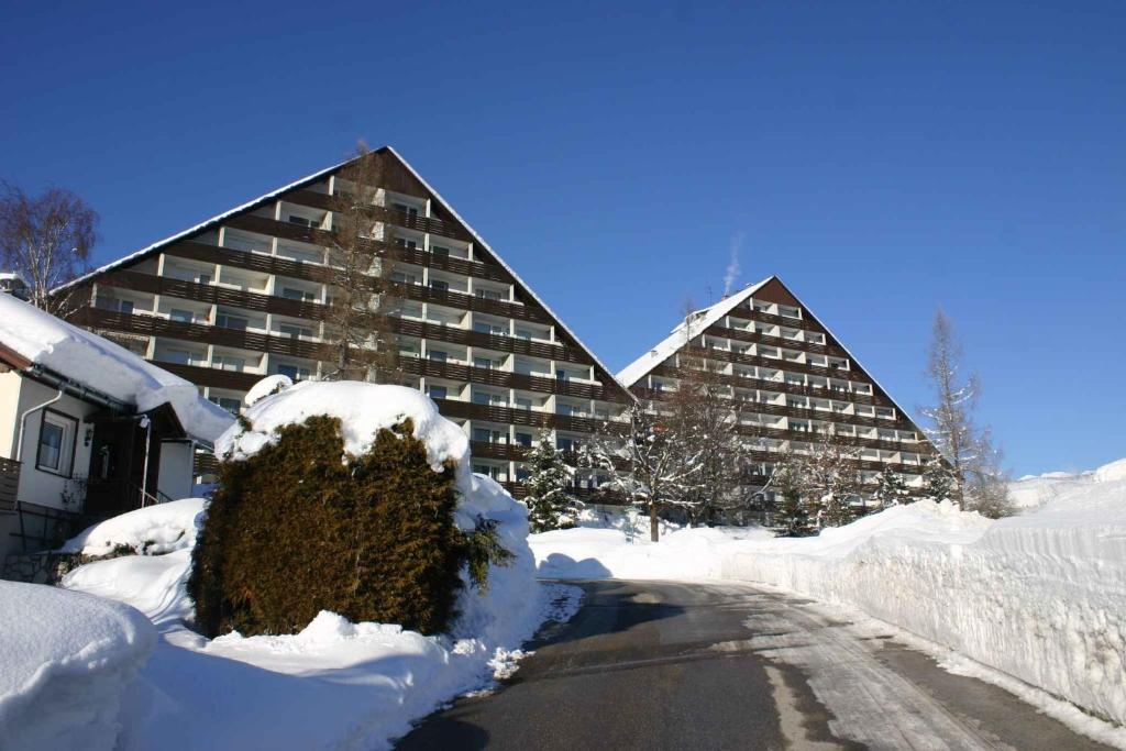 Apartment in Bad Mitterndorf - Steiermark 36993 зимой