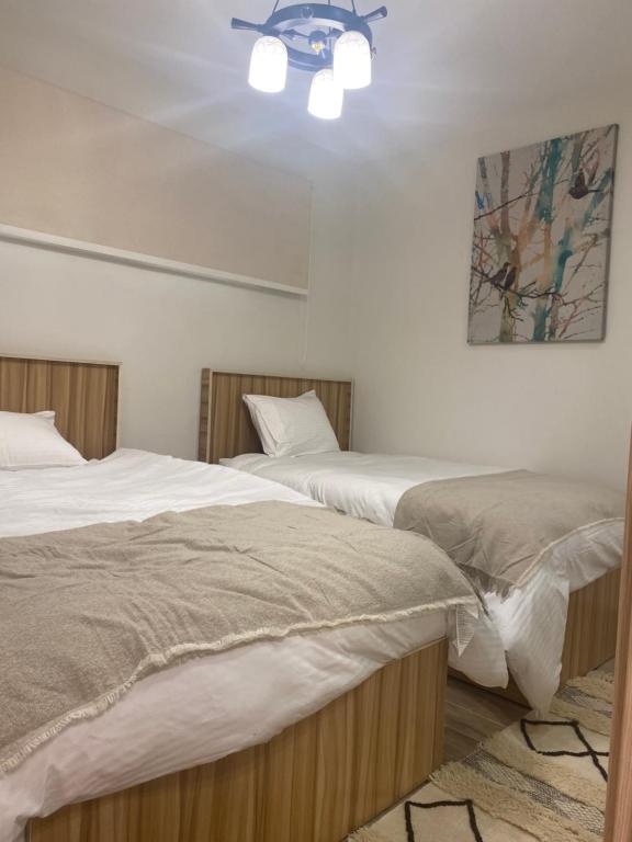 Postel nebo postele na pokoji v ubytování Sea view il monte galala chalet