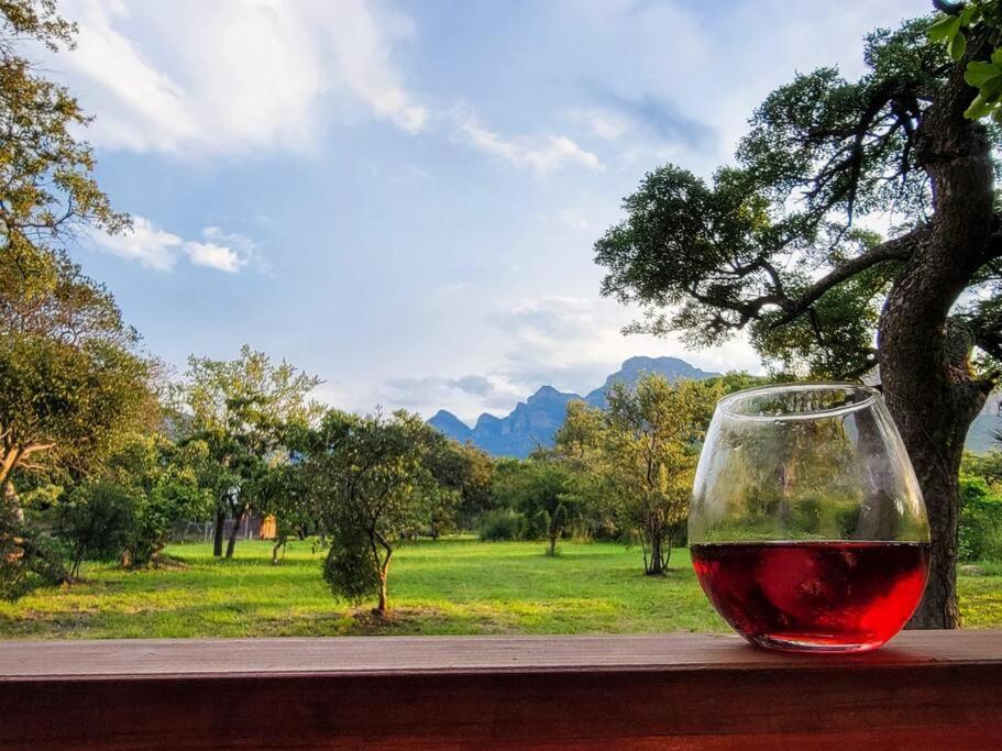 a glass of red wine sitting on a table at Cosy Corner in Kampersrus AH