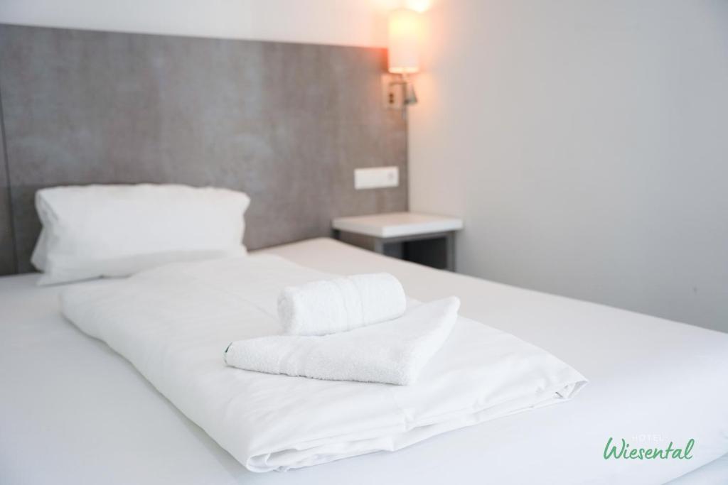 Hotel Wiesental Nähe Friedrichshafen - Single Room