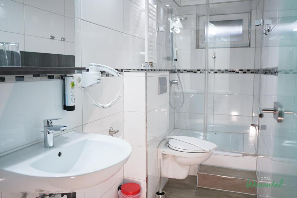 Hotel Wiesental Nähe Friedrichshafen - Economy Double Or Twin Room