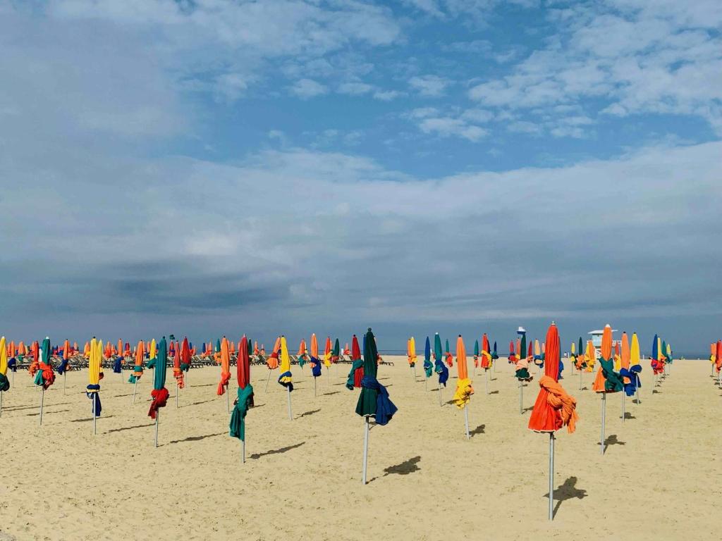 Fotografia z galérie ubytovania ESCAPADE MARINE Mini Duplex avec magnifique vue sur mer v destinácii Deauville