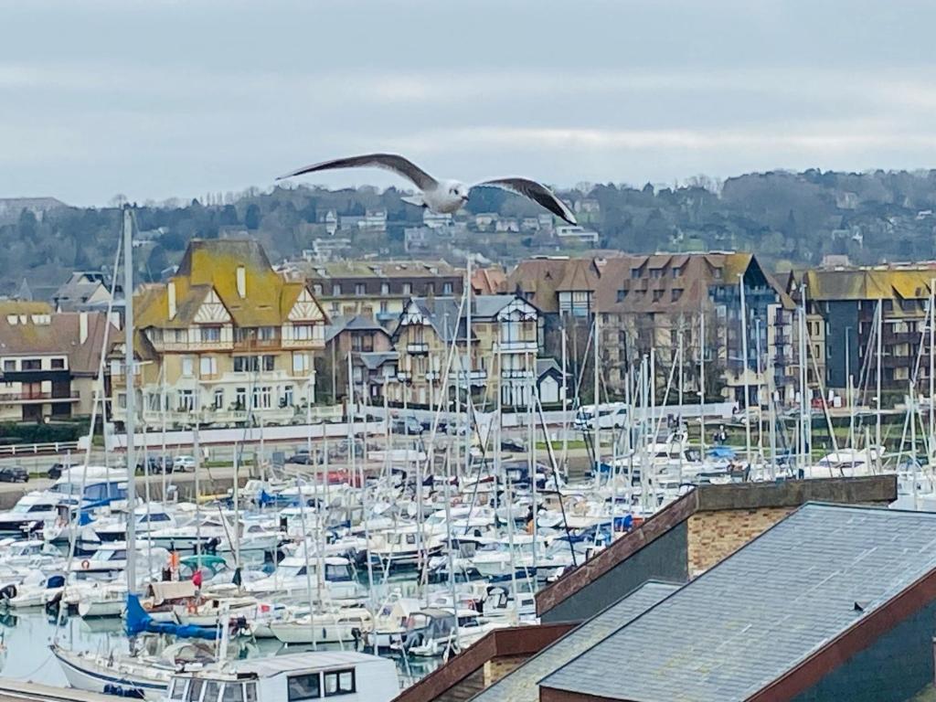 Fotografia z galérie ubytovania ESCAPADE MARINE Mini Duplex avec magnifique vue sur mer v destinácii Deauville