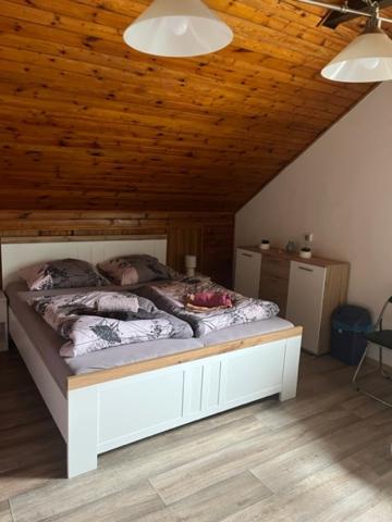 Zdjęcie z galerii obiektu Penzion u krbu w mieście Loket