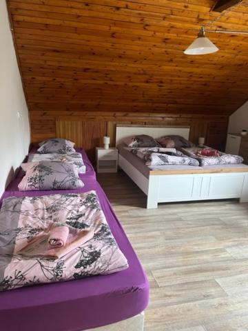 Zdjęcie z galerii obiektu Penzion u krbu w mieście Loket
