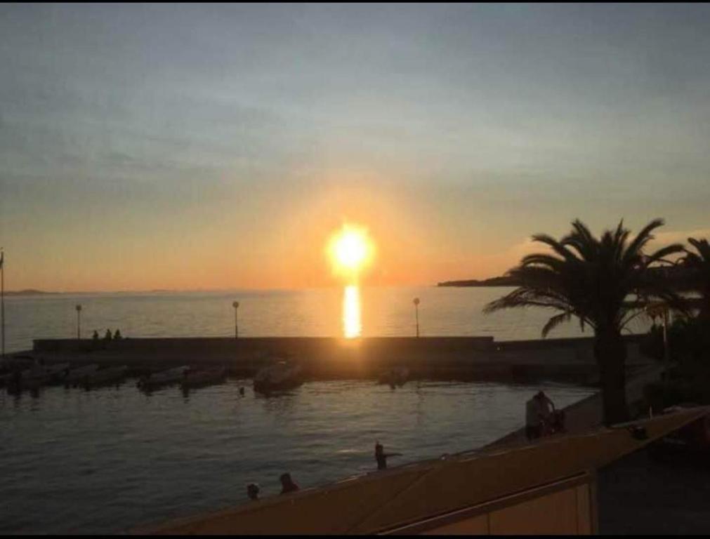 a sunset over a body of water with a palm tree at Apartments Marina in Petrcane
