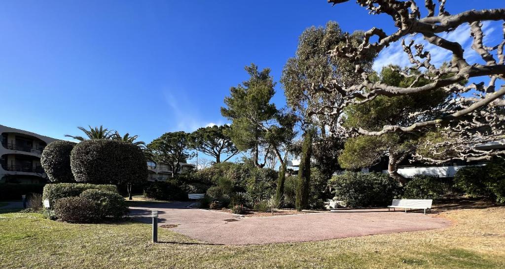 Vonkajšia záhrada v ubytovaní Studio Riviera de Bahia