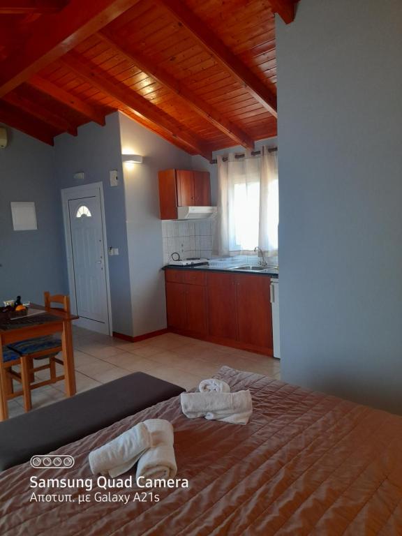 Stefanosplace ApartHotel Sea View - 顶层公寓