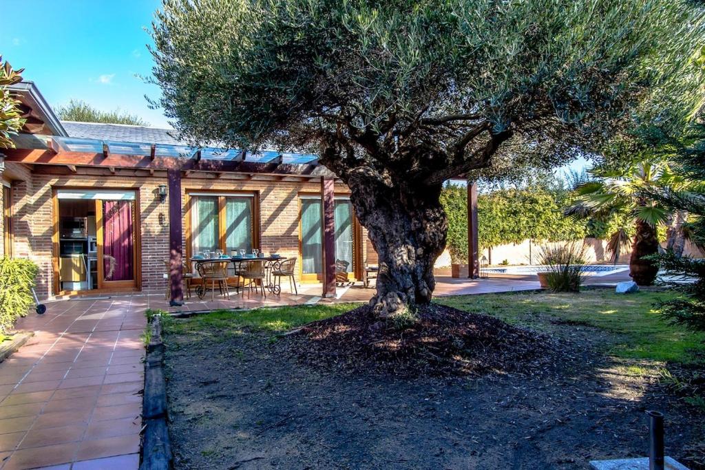 Zahrada ubytování Catalunya Casas A Costa Brava gem - only a few minutes to the beach!