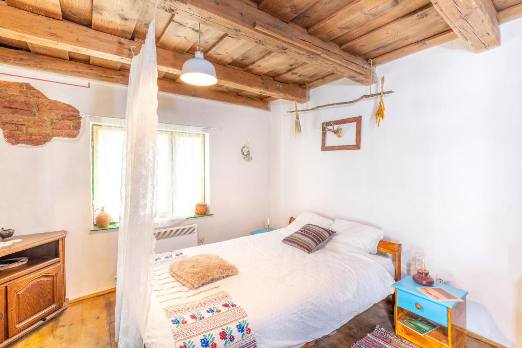 Saschiz 130/Lodging and Glamping - Studio Avec Vue Sur Le Jardin