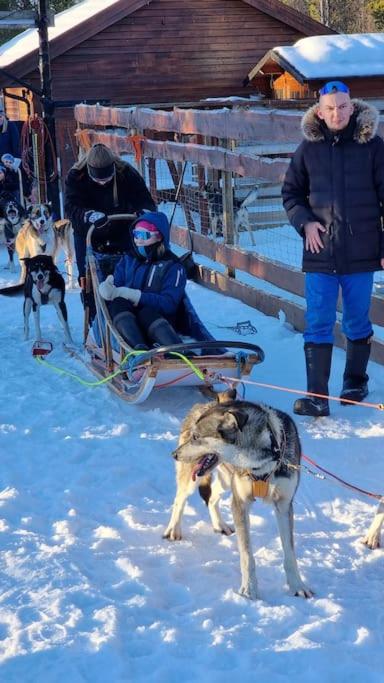 Domácí mazlíčci ubytovaní s hosty v ubytování Stengelsen husky