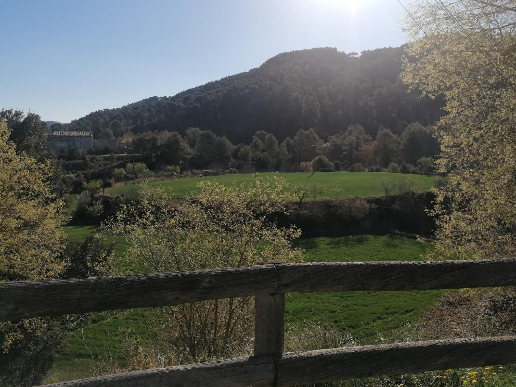 Príroda v okolí dovolenkového domu
