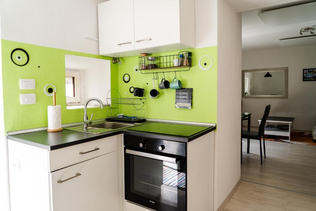 eine Küche mit grünen Wänden und einem Waschbecken in der Unterkunft Nature Lover's Paradise in Julian Alps in Mojstrana