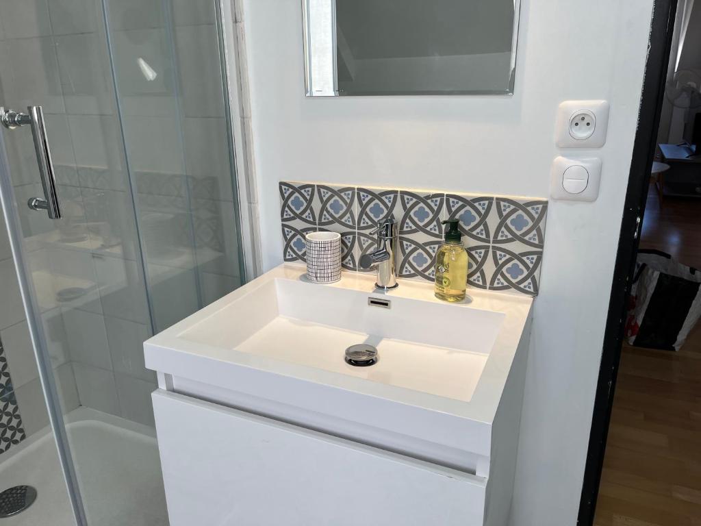 a bathroom with a white sink and a shower at Le Briais in Melun