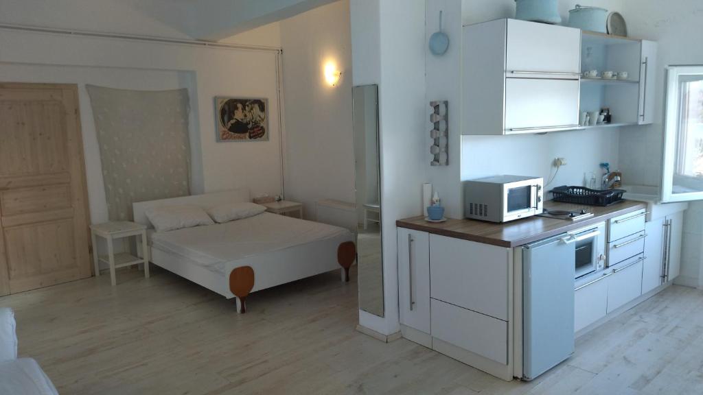 Kuchyň nebo kuchyňský kout v ubytování Hotel Mato