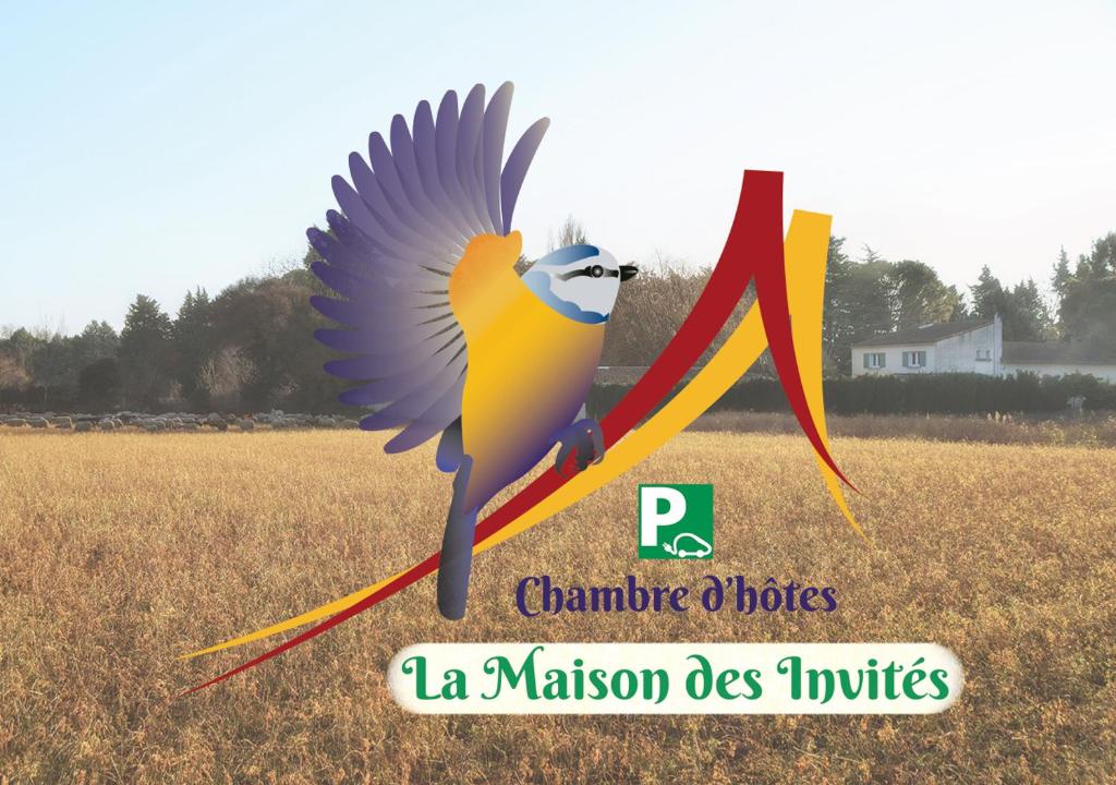un perroquet volant un cerf-volant dans un champ dans l'établissement La Maison Des Invites, à Pernes-les-Fontaines