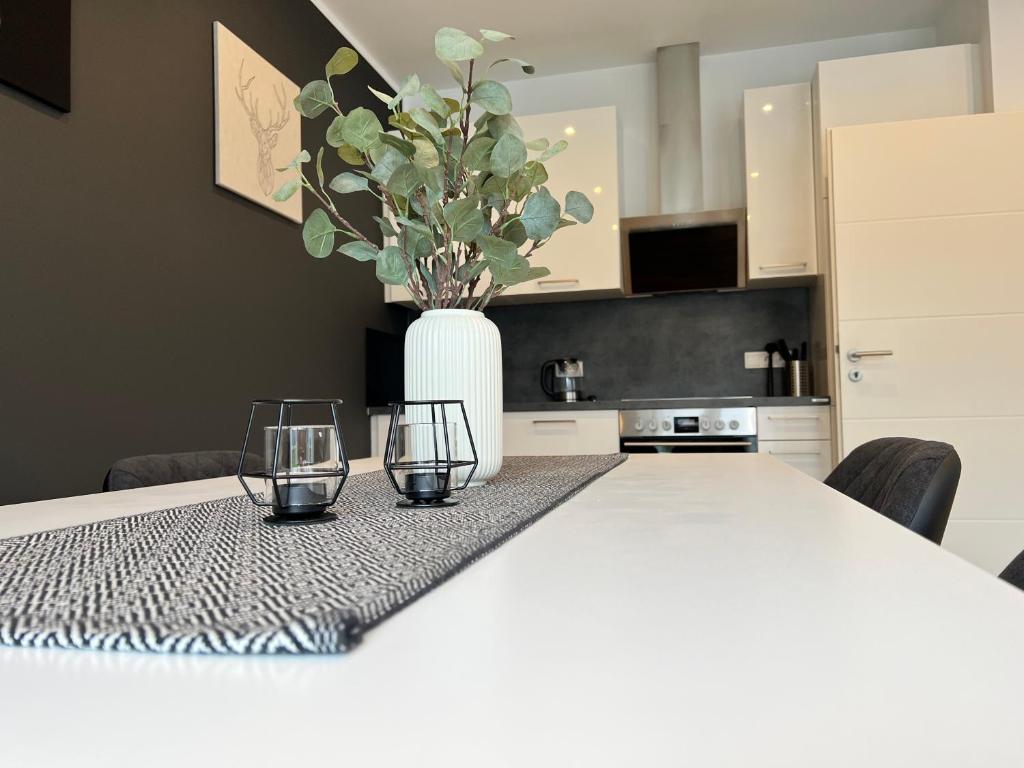 Kuchyň nebo kuchyňský kout v ubytování Ferienwohnung Franzi