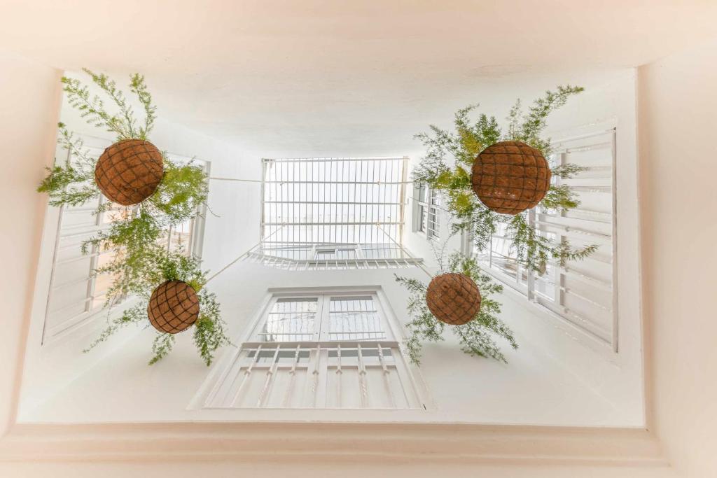 ISG Apartments Cuna - Resim 20