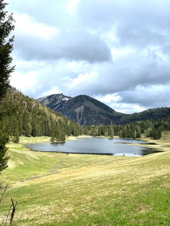 Příroda nedaleko apartmánu