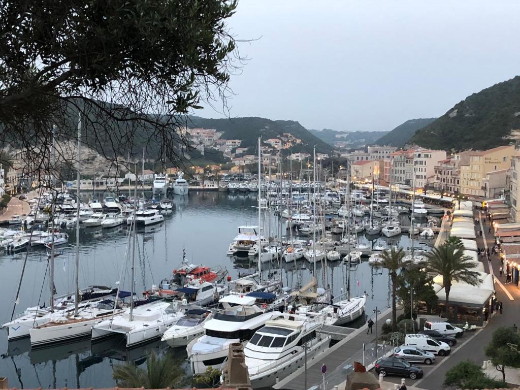 Un tas de bateaux sont amarrés dans un port de plaisance dans l'établissement Apt de charme sur la Marina de Bonifacio, à Bonifacio