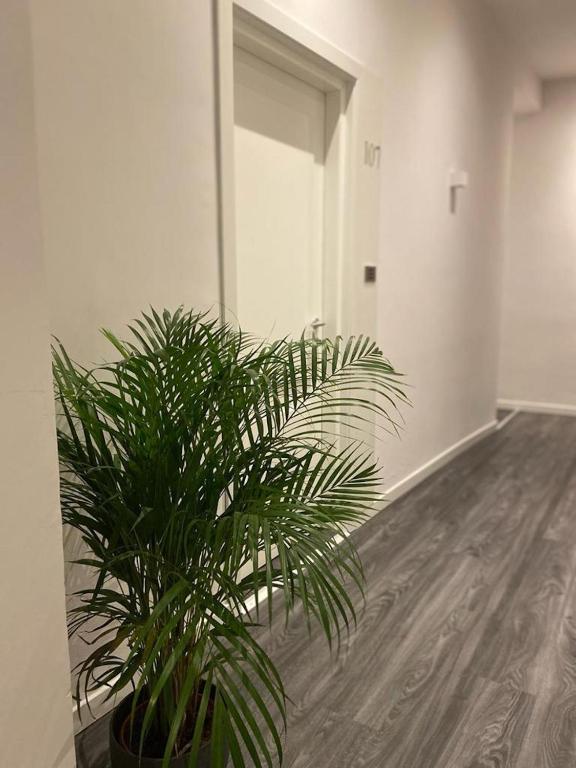 Hotel Delle Camelie - Resim 21