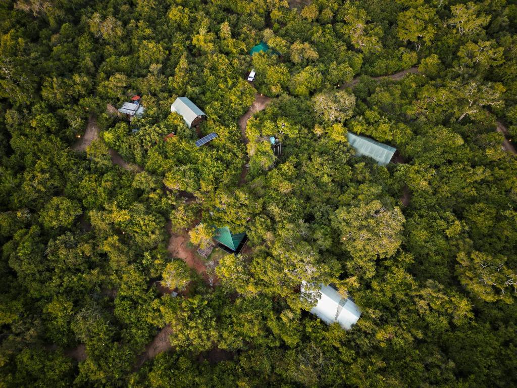 an overhead view of a forest with houses and trees at King Reach Yala Wild in Tissamaharama