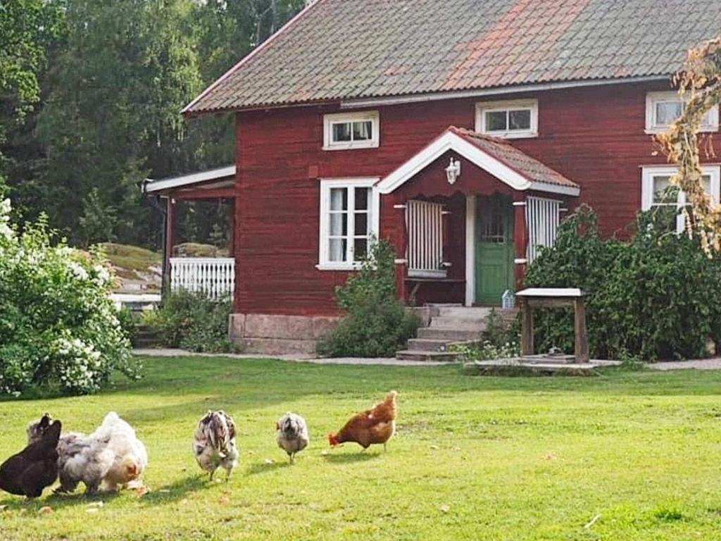 um grupo de galinhas na relva em frente a uma casa vermelha em Holiday home Hedesunda II em Hedesunda