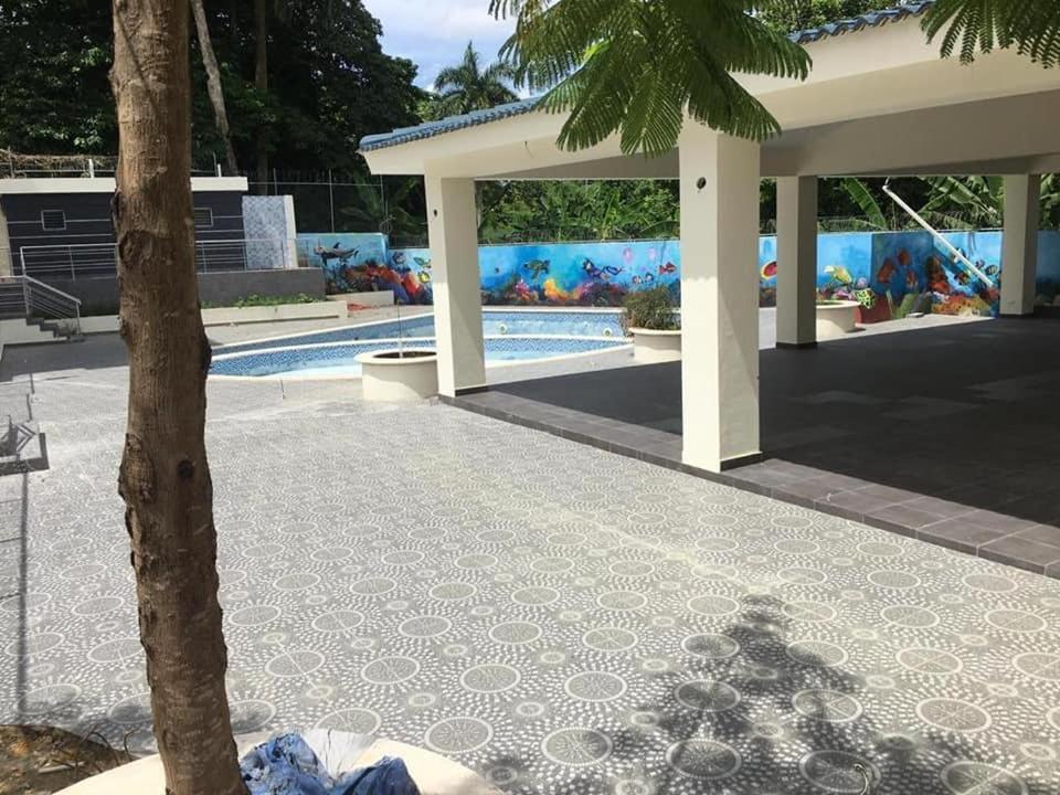 a swimming pool with a mural on the side of a building at Flia Alcantara CG in Naiboa
