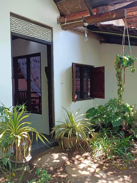 Zahrada ubytování Mamisa Café, Home stay