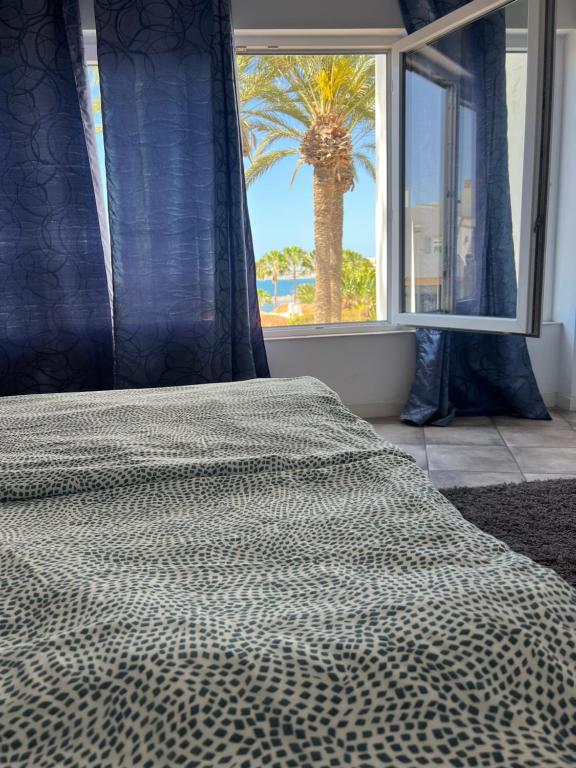 a bedroom with a bed with a palm tree in the window at San Agustin2, quiet apartment close to the beach in San Bartolomé de Tirajana