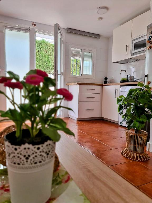 Kuchyň nebo kuchyňský kout v ubytování VILLA PITATO Nuevo, cerca de la Playa, Parking en la puerta del alojamiento