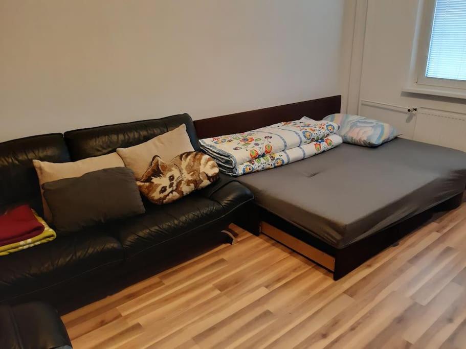 un divano in pelle nera con cuscini in soggiorno di Krásny byt, Košice, Juhoslovanska1. Ťahanovce a Košice