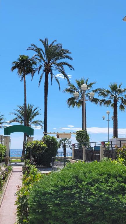 einen Pfad mit Palmen und dem Ozean im Hintergrund in der Unterkunft Villa Eden in Nizza