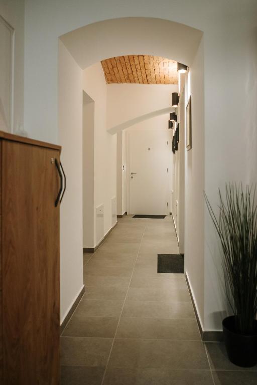 Operna klet Ljubljana - Resim 33