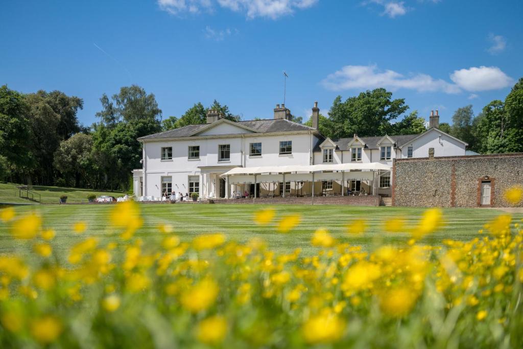 a large white house with yellow flowers in the foreground at Milsoms Kesgrave Hall in Ipswich