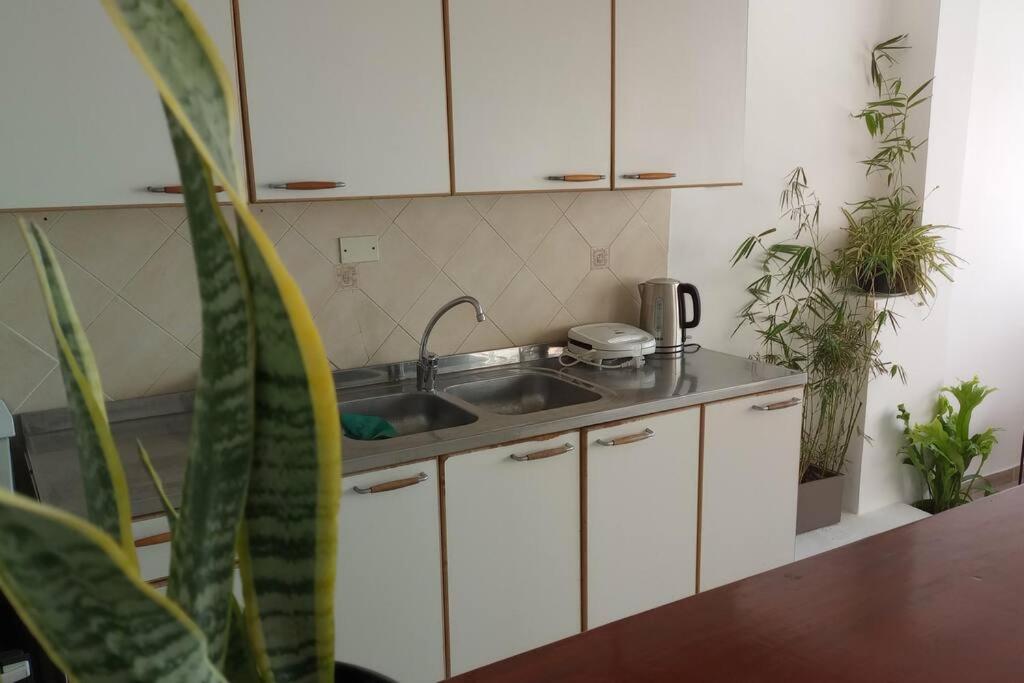 La cuisine est équipée de placards blancs, d'un évier et de plantes. dans l'établissement Departamento sobre la costanera, à Corrientes